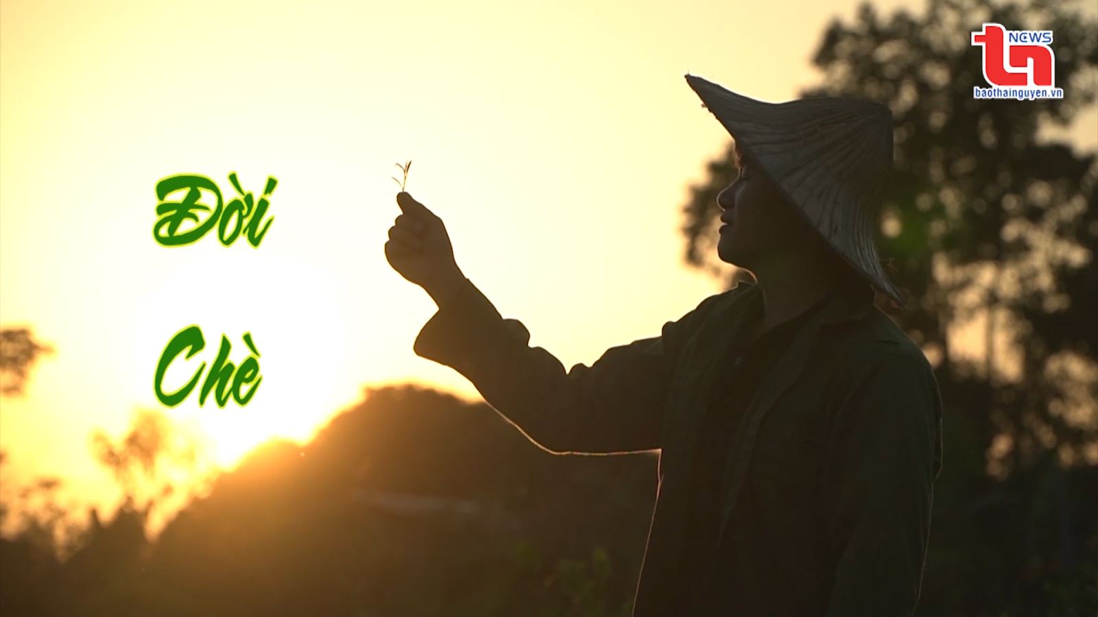 Đời chè